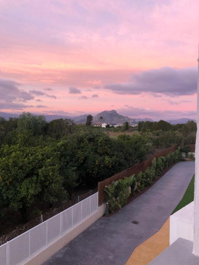 Sunny Apartment In Denia With Outdoor Swimming Pool And Garage Parking Place Included, 300M From The Sandy Beach Exteriör bild